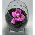 Load image into Gallery viewer, Black Water Beads – Glossy Superabsorbent Beads for Décor & Crafts
