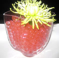 Load image into Gallery viewer, Sunset Orange Water Gel Beads – Vibrant, Superabsorbent Beads for Décor and Arrangements