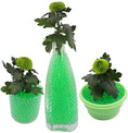 Load image into Gallery viewer, Green Water Crystal Gel Beads – Superabsorbent Beads for Decor, Events & DIY Projects