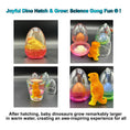 Load image into Gallery viewer, Magic Self-Dissolving Dinosaur Eggs – STEM Learning & Interactive Fun! (Clearance Sale)