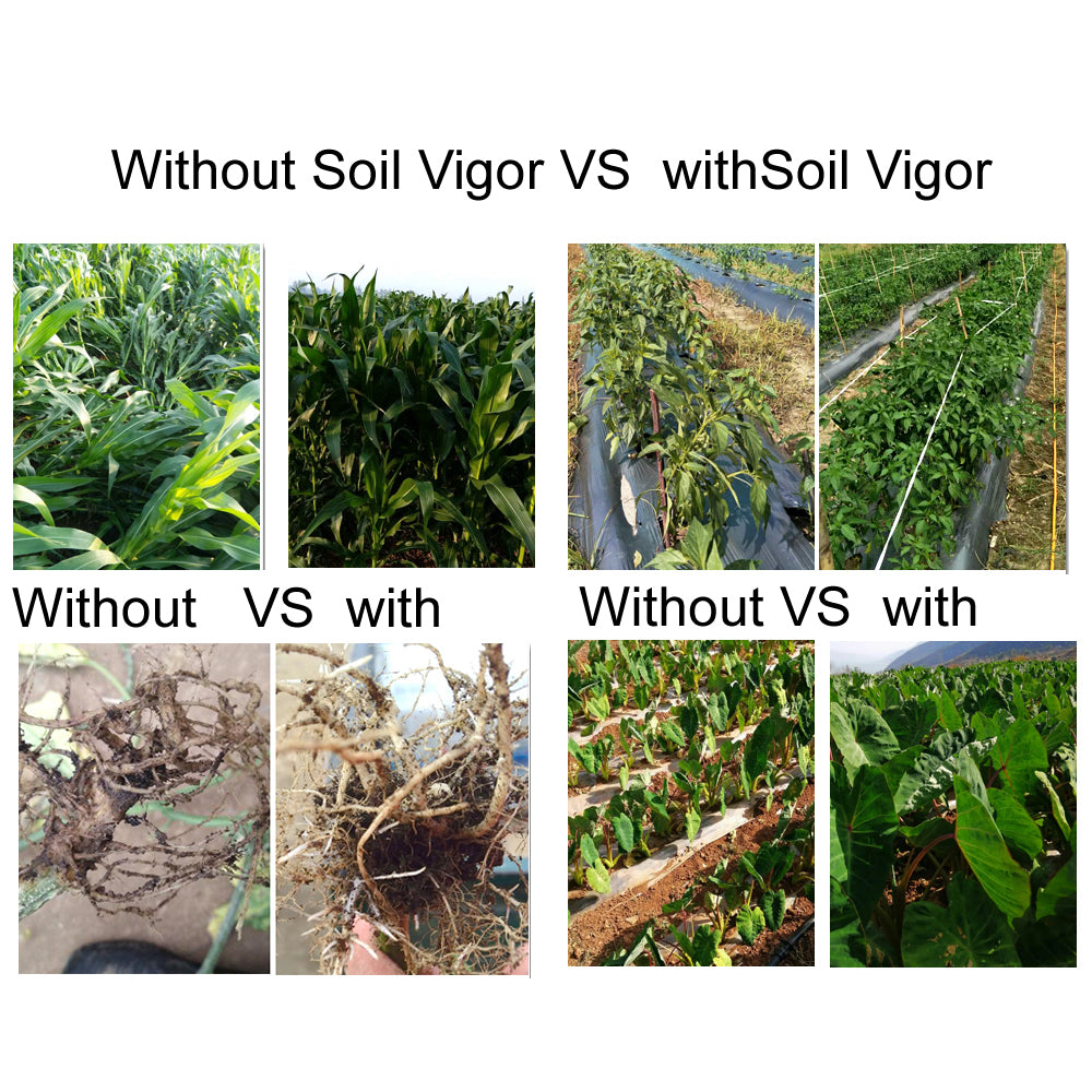 5 LB Soil Vigor® Fine SAP Granules – Boost Soil Moisture & Root Health