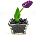 Load image into Gallery viewer, Black Water Beads – Glossy Superabsorbent Beads for Décor & Crafts