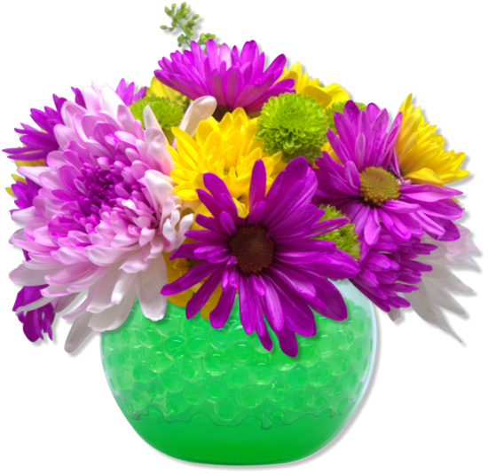 Green Water Crystal Gel Beads – Superabsorbent Beads for Decor, Events & DIY Projects