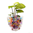 Load image into Gallery viewer, Marbled Vein Water Beads – Vibrant Party Centerpiece & Décor Filler