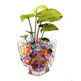 Load image into Gallery viewer, Marbled Vein Water Beads in a vase with plants, colorful decor for events and sensory play.