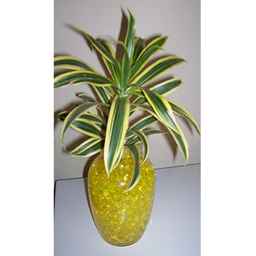 Lemon Yellow Water Gel Beads – Bright, Glossy Beads for Décor & Arrangements