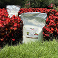 Load image into Gallery viewer, 2 Lb Soil Vigor® Large Granules – Water-Storing Crystals for Thriving Gardens