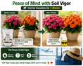 Load image into Gallery viewer, Image showing the benefits of Soil Vigor Fine Potassium Polymer for plant care while on vacation.