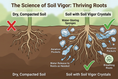 Load image into Gallery viewer, The Science of Soil Vigor: Thriving Roots with Soil Vigor Fine Granules Water Storing Crystals for Plant