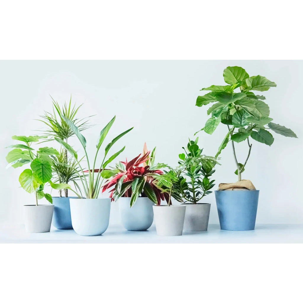 40 lb Fine Granules Soil Vigor® Potassium Polyacrylate