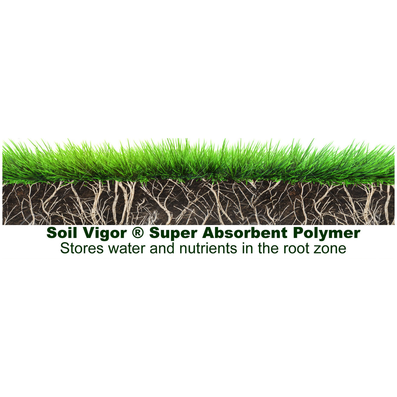 2 Lb Soil Vigor® Large Granules – Water-Storing Crystals for Thriving Gardens