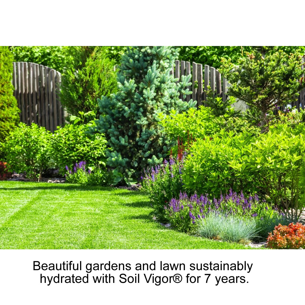 45 Lb Soil Vigor® - Large Granules (5-10 Mesh)