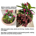 Load image into Gallery viewer, Soil Vigor® Large Granules – potassium-based water-storing crystals showing vacation plant care before and after results