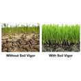 Load image into Gallery viewer, Comparison of soil health with and without Soil Vigor Large Granules, showcasing enhanced growth and water retention.