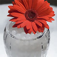 Load image into Gallery viewer, White Water Gel Beads – Elegant, Versatile Beads for Décor and Floral Arrangements