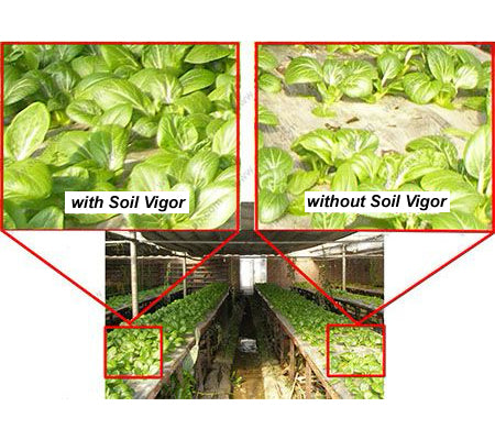 5 LB Soil Vigor® Fine SAP Granules – Boost Soil Moisture & Root Health