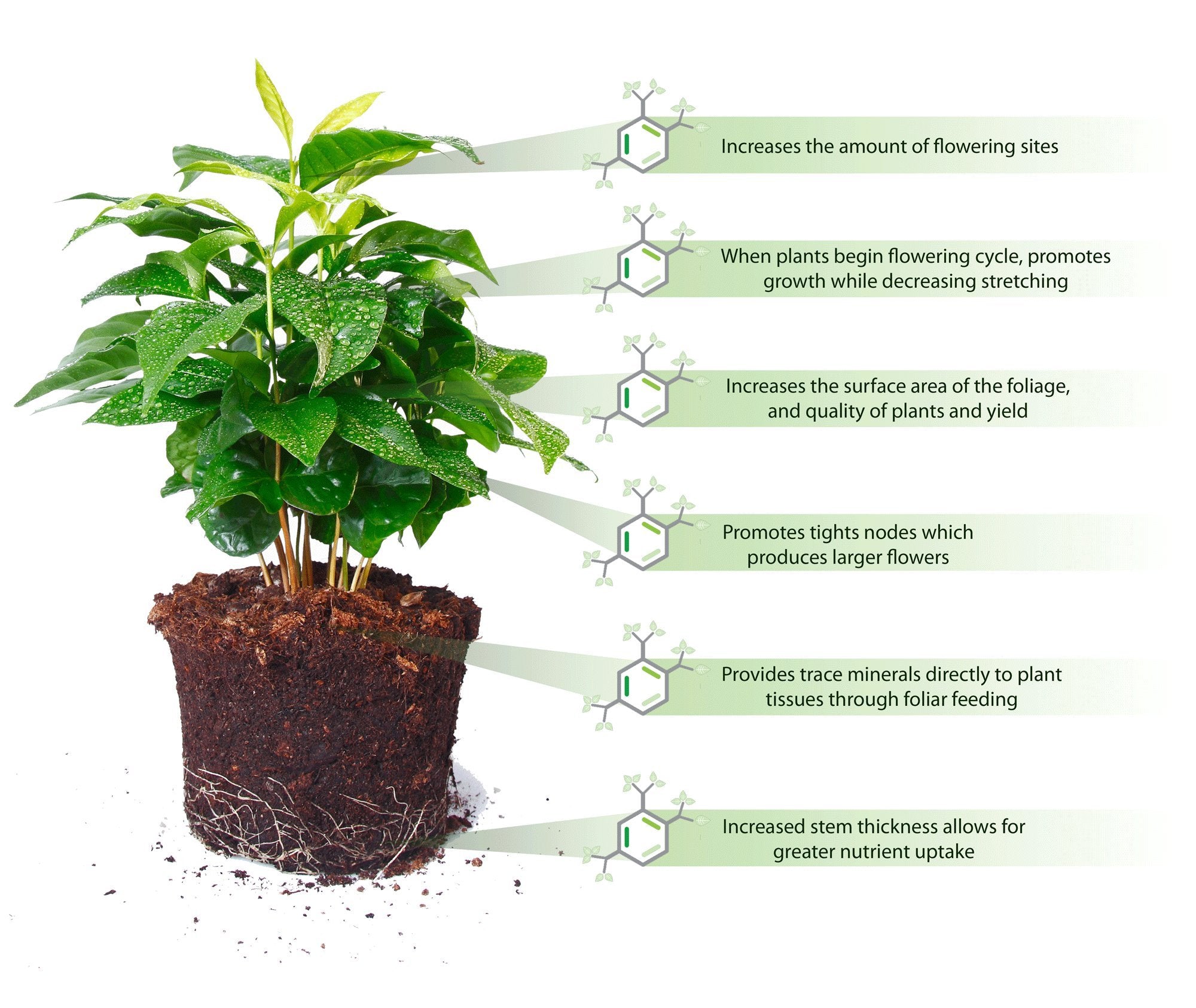 SAP Super Absorbent Polymer Soil Moisturizer for Gardens, Lawns & Plants – 5 lb Bag