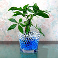 Load image into Gallery viewer, Blue Water Crystal Gel Beads – Superabsorbent Jelly Beads for Décor & DIY
