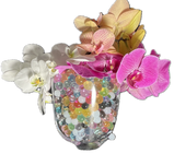 <p>Simple to Use</p>