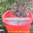 Load image into Gallery viewer, Soil Vigor® Fine Potassium Polymer Granules for Soil Vitality Boost – 40 lb
