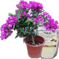 Load image into Gallery viewer, Soil Vigor® 5-10 Mesh Potassium Polymer Crystals for Garden – 45 lb
