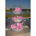 Load image into Gallery viewer, Transparent Water Gel Beads – Clear, Superabsorbent Beads for Décor and Arrangements
