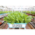 Load image into Gallery viewer, Soil Vigor® Fine Potassium Polymer Granules for Soil Vitality Boost – 40 lb

