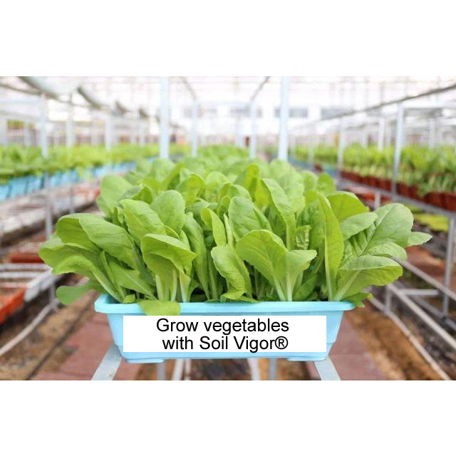 Soil Vigor® Fine Potassium Polymer Granules for Soil Vitality Boost – 40 lb