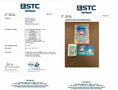 Load image into Gallery viewer, Kids Party and Activity Package: 40 Packs of Instant Snow Powder
