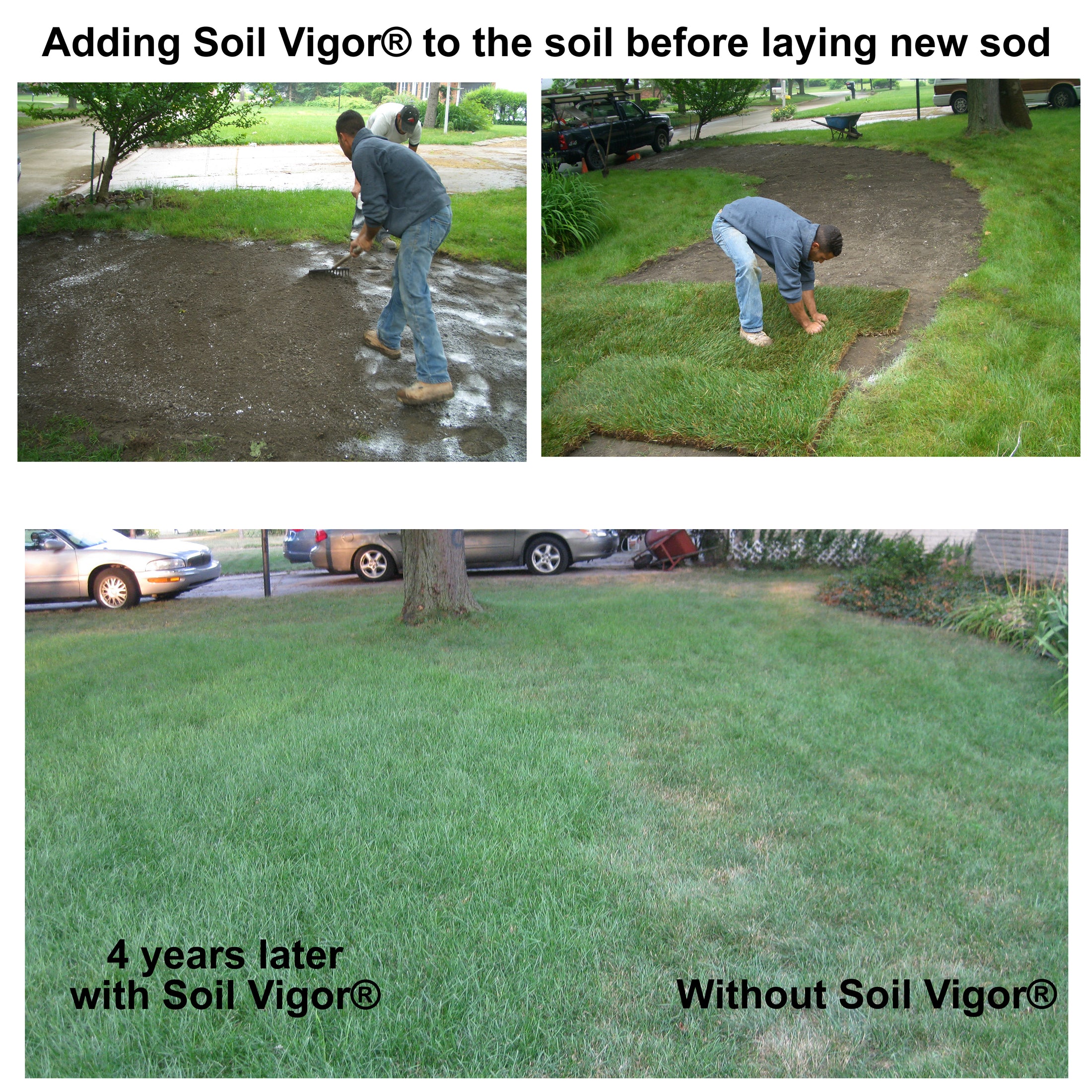 Soil Vigor® Fine Granules – Water-Storing Crystals for Lawns & Garden Beds