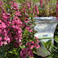 Load image into Gallery viewer, SAP Super Absorbent Polymer Soil Moisturizer for Gardens, Lawns & Plants – 5 lb Bag
