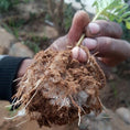 Load image into Gallery viewer, Soil Vigor® Fine Granules – Water-Storing Crystals for Lawns & Garden Beds
