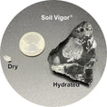 Load image into Gallery viewer, Soil Vigor® 5-10 Mesh Potassium Polymer Crystals for Garden – 10 lb
