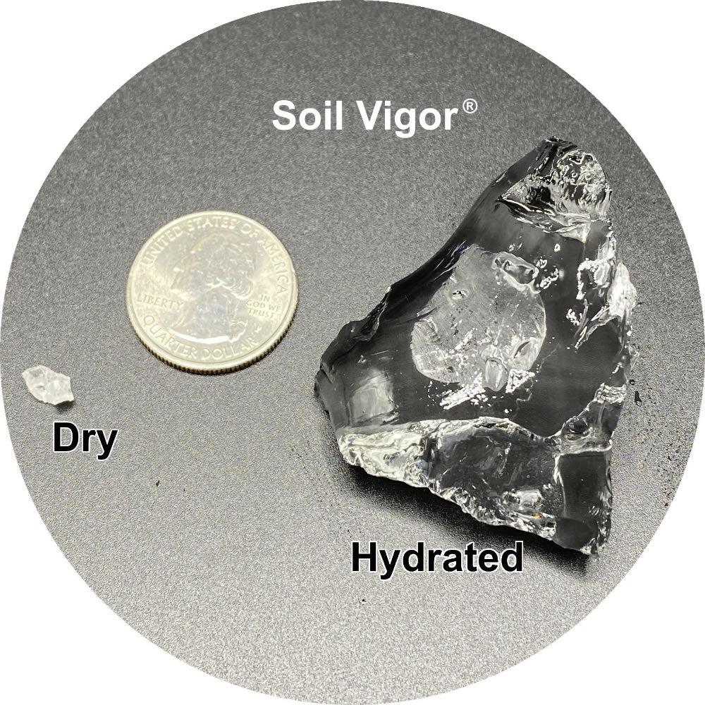 Soil Vigor® 5-10 Mesh Potassium Polymer Crystals for Garden – 10 lb