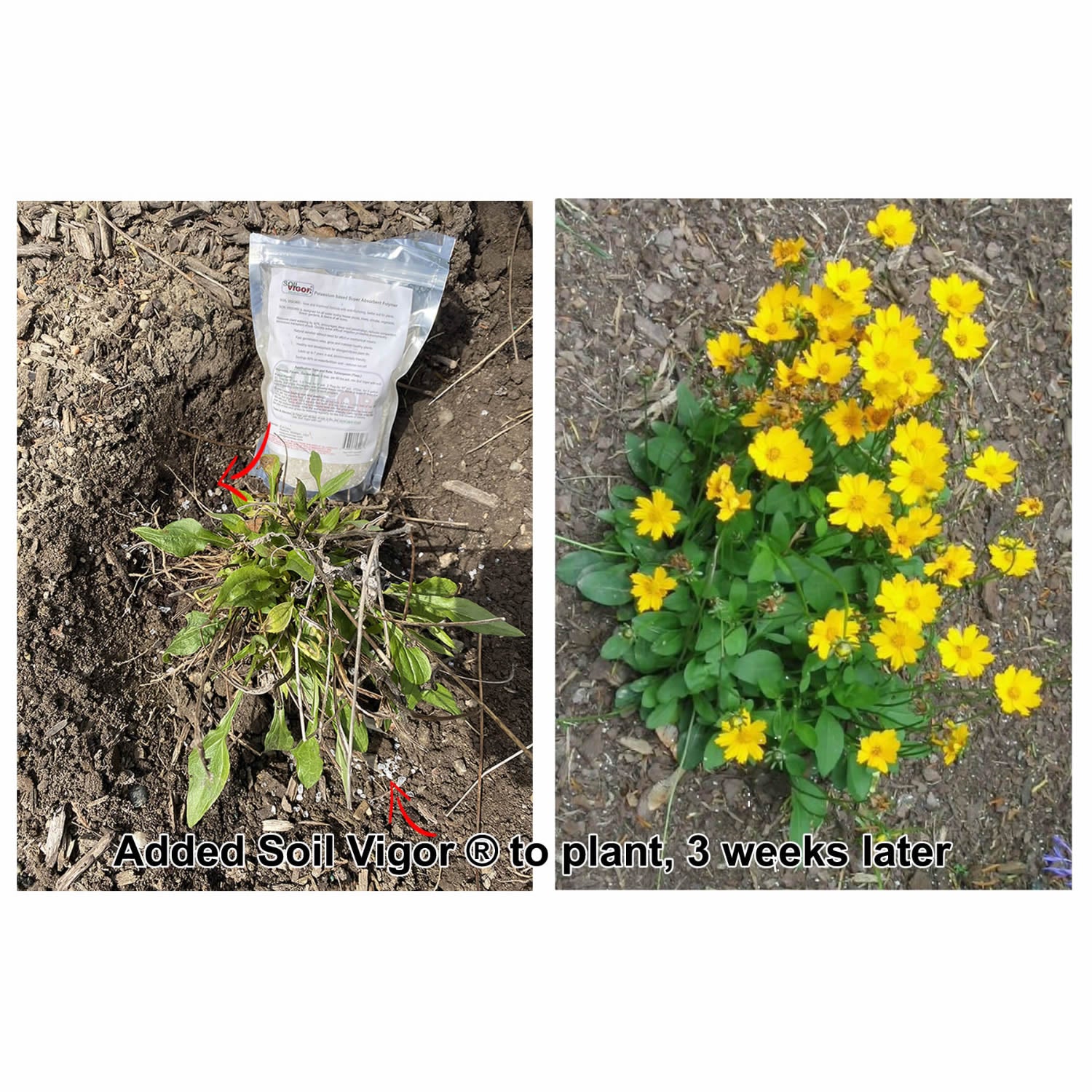 Soil Vigor® 5-10 Mesh Potassium Polymer Crystals for Garden – 45 lb