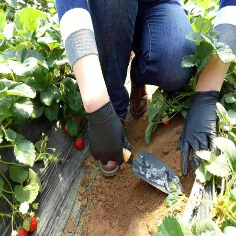 Soil Vigor® Large Granules – Water-Storing Crystals for Gardens