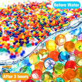 Load image into Gallery viewer, Cosmo Beads Multi-Color Water Beads displayed before and after 3 hours of water absorption, showcasing dramatic color and expansion.
