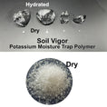 Load image into Gallery viewer, Soil Vigor® 5-10 Mesh Potassium Polymer Crystals for Garden – 40 lb
