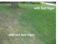 Load image into Gallery viewer, Soil Vigor® 5-10 Mesh Potassium Polymer Crystals for Garden – 10 lb
