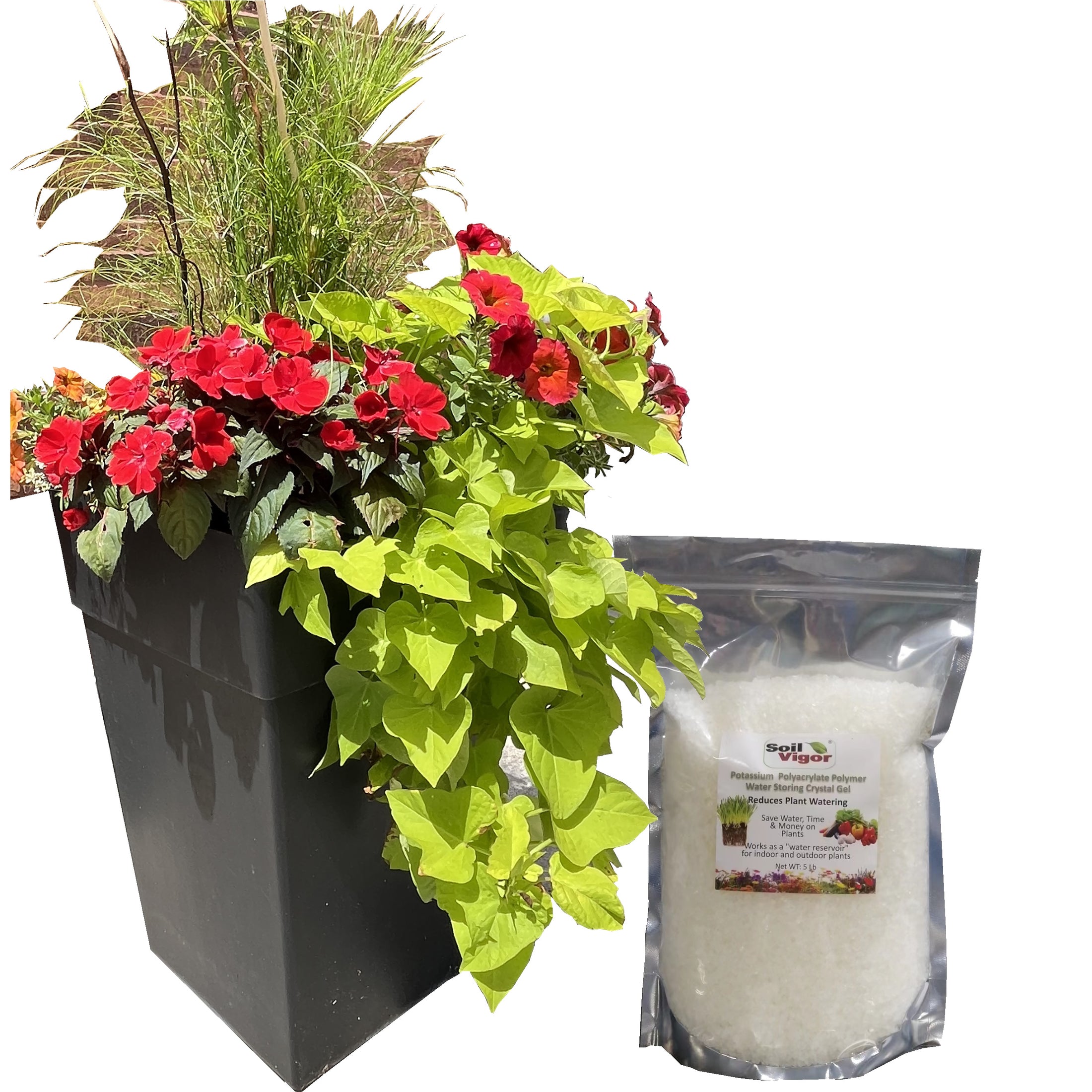water crystals for pot plants Soil Vigor Large Granules – Potassium Water-Storing Crystals – 20 Lb