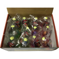 Load image into Gallery viewer, Magic Self-Dissolving Dinosaur Eggs – STEM Learning & Interactive Fun! (Clearance Sale)
