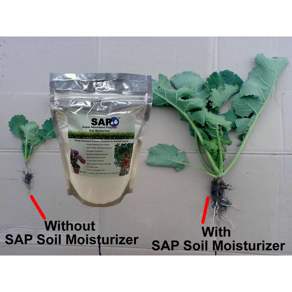 SAP Super Absorbent Polymer Soil Moisturizer™ – 5 lb Bag for Home Gardens & Plants
