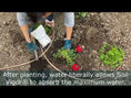 Load and play video in Gallery viewer, Soil Vigor® 5-10 Mesh Potassium Polymer Crystals for Garden – 20 lb
