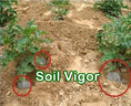 Load image into Gallery viewer, Soil Vigor® 5-10 Mesh Potassium Polymer Crystals for Garden – 45 lb
