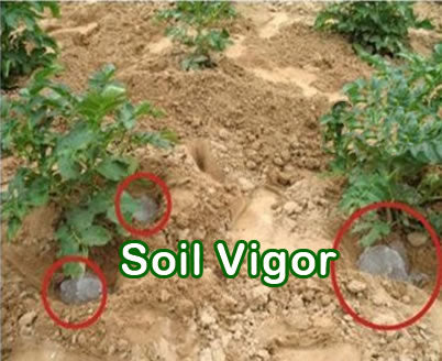 Soil Vigor® 5-10 Mesh Potassium Polymer Crystals for Garden – 45 lb