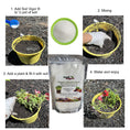 Load image into Gallery viewer, 2 Lb Soil Vigor® Fine Granules – Water-Storing Crystals for Lush Lawns & Gardens
