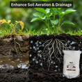 Load image into Gallery viewer, Soil Vigor Fine Potassium Polymer promotes water retention for healthy plants, 20 lb bag shown beside a thriving plant.

