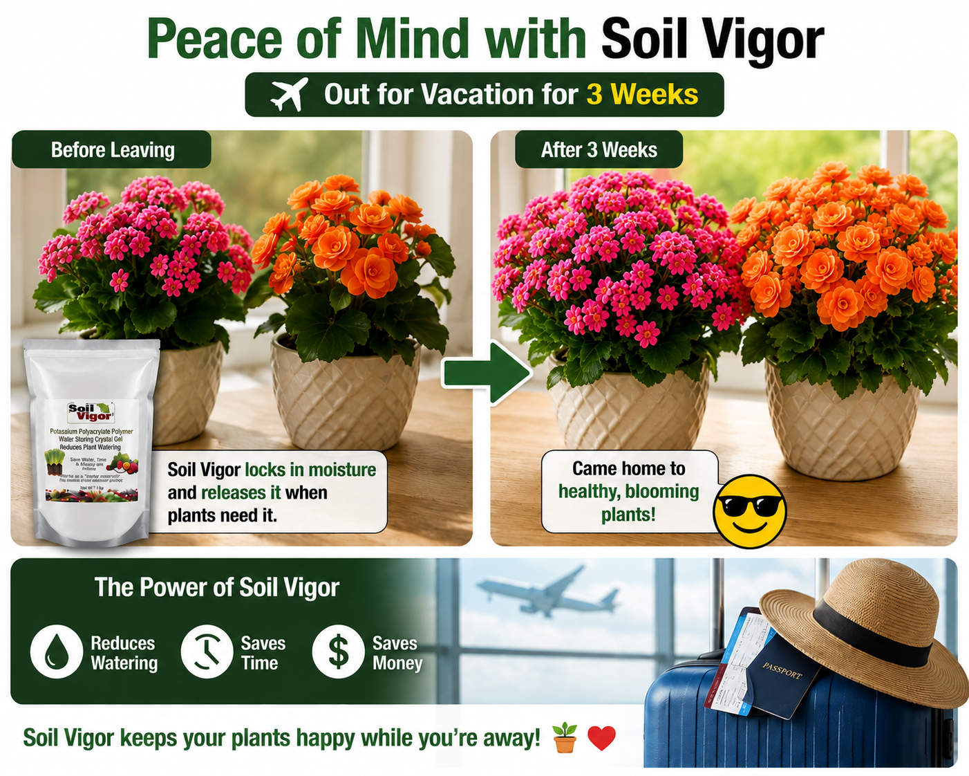 Image showing the benefits of Soil Vigor Fine Potassium Polymer for plant care while on vacation.