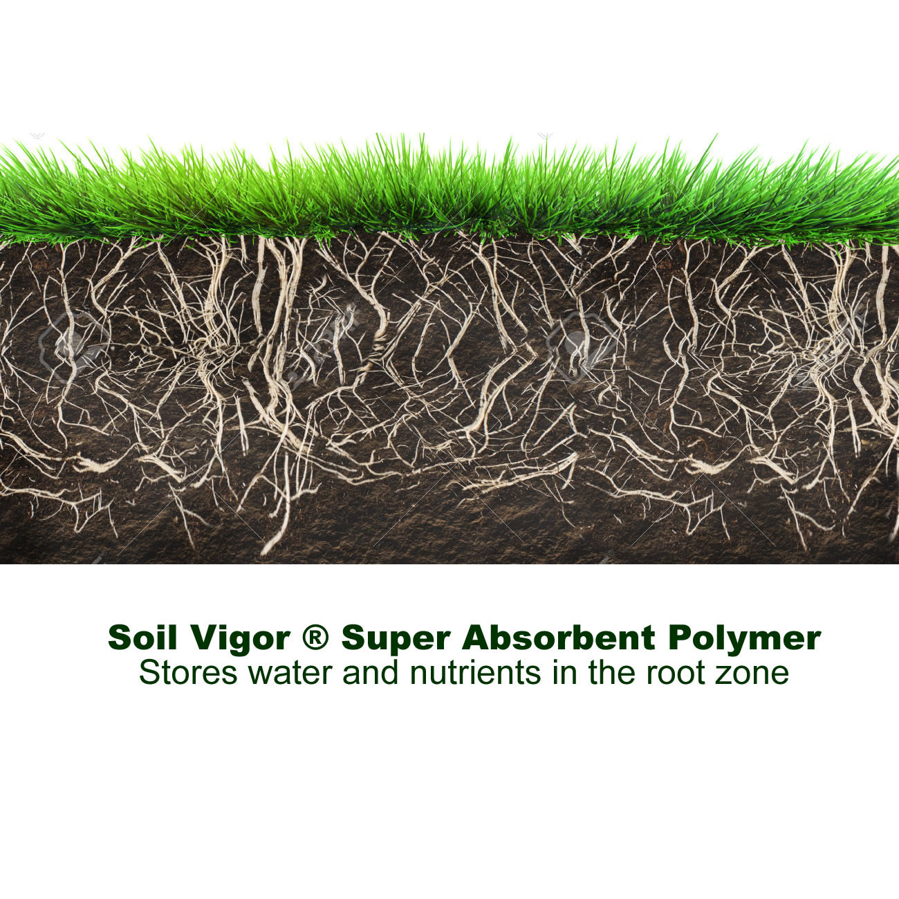 Soil Vigor® Large Granules – potassium-based water-storing crystals enhancing root zone water and nutrient storage