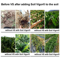 Load image into Gallery viewer, Before and after comparison of soil health with Soil Vigor Fine Granules Water Storing Crystals for Plant.
